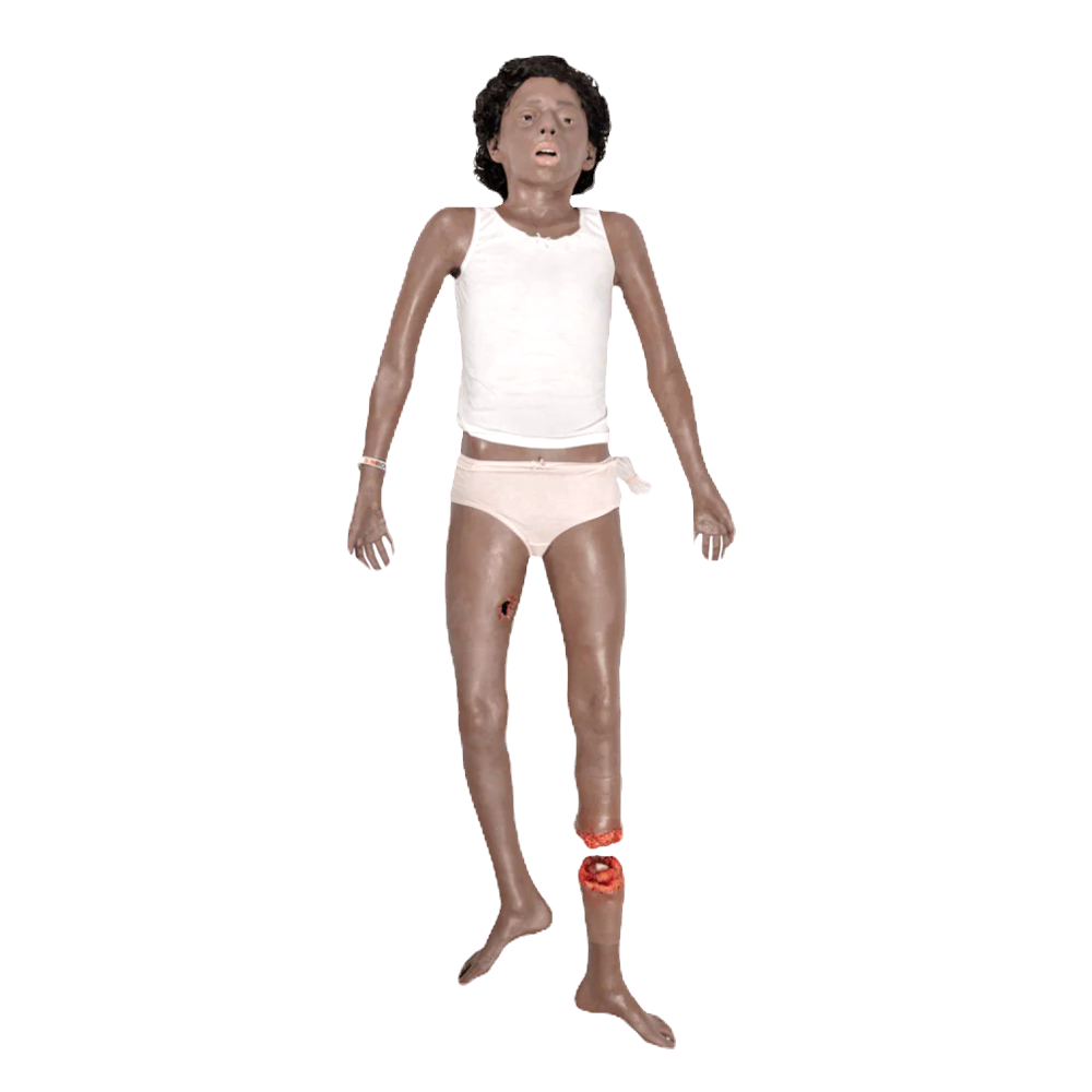SIMBODIES Manikin